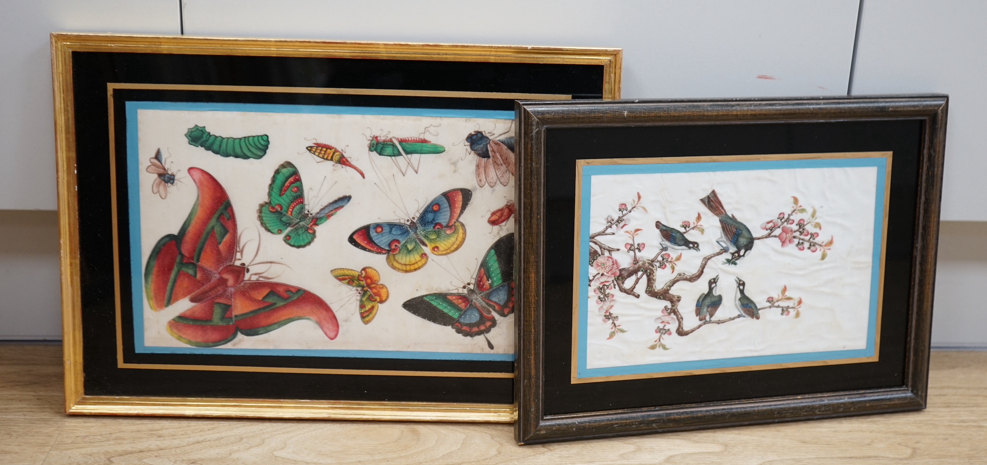 19th century Chinese School, two pith paper paintings, Birds amongst flowers and butterflies, largest 18 x 28cm